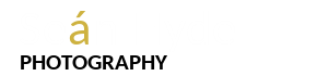 sean hyde logo